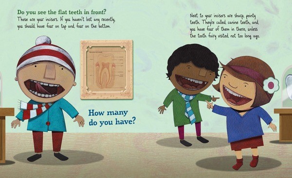 Image result for tooth by tooth book sara levine