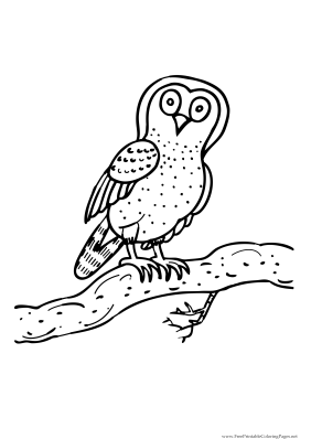 celebrate-picture-books-picture-book-review-owl-coloring-page