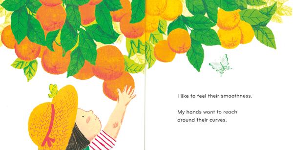 celebrate-picture-books-picture-book-review-round-orange-tree