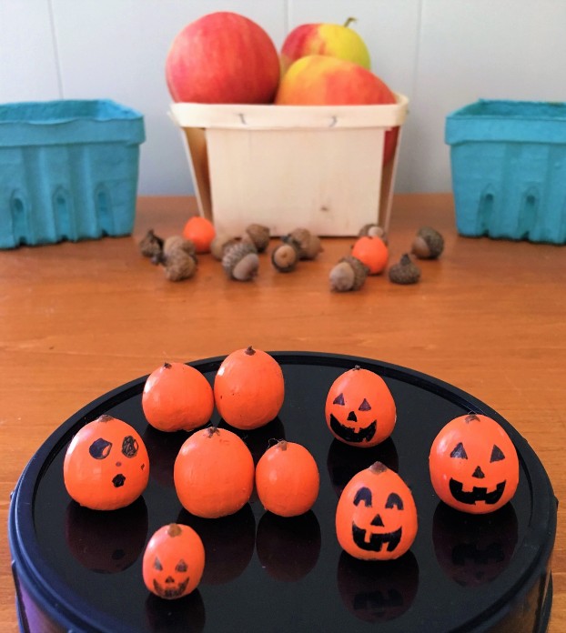 celebrate-picture-books-picture-book-review-acorn-pumpkins-craft