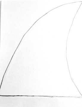 fin outline white