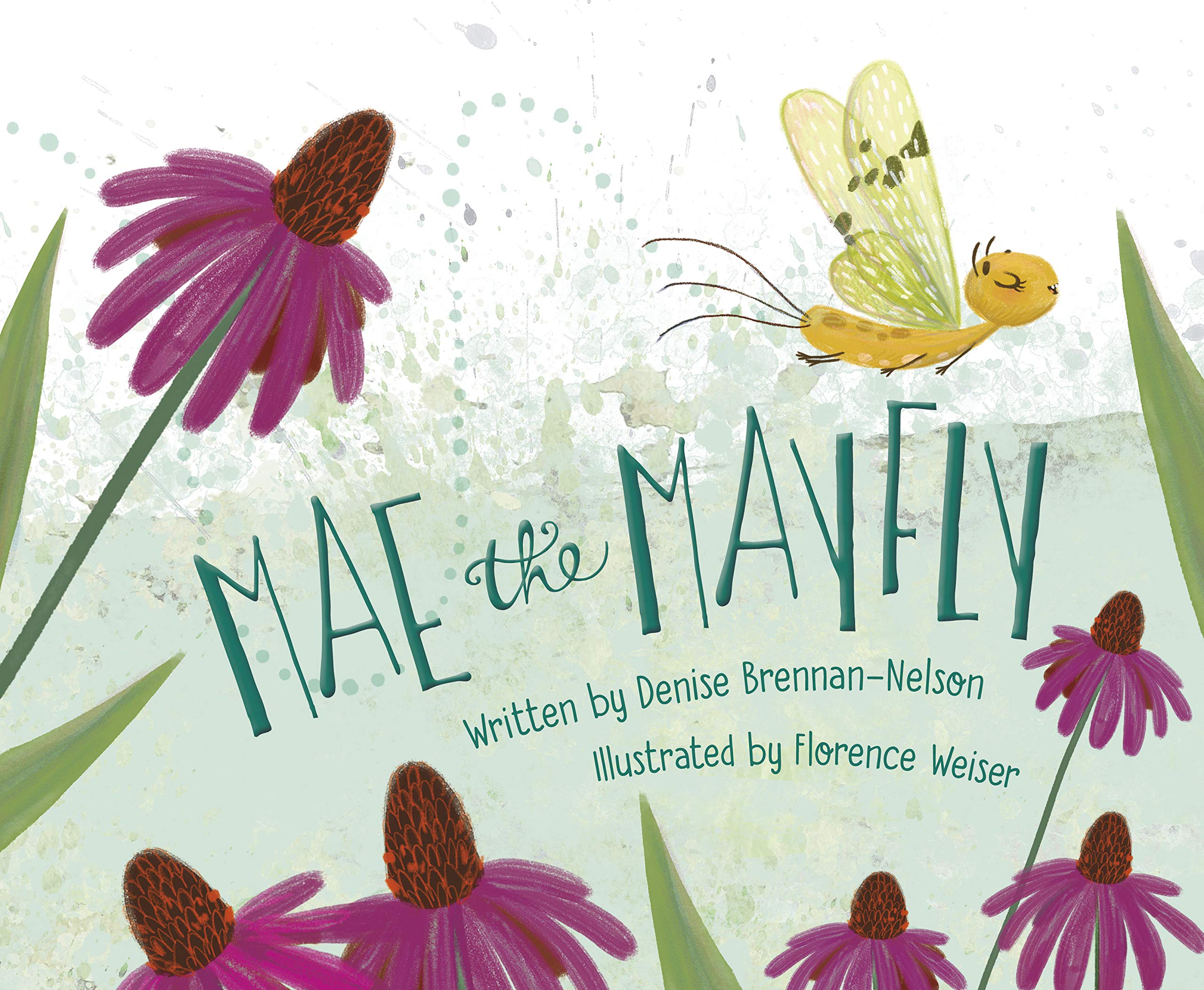 celebrate-picture-books-picture-book-review-mae-the-mayfly-cover
