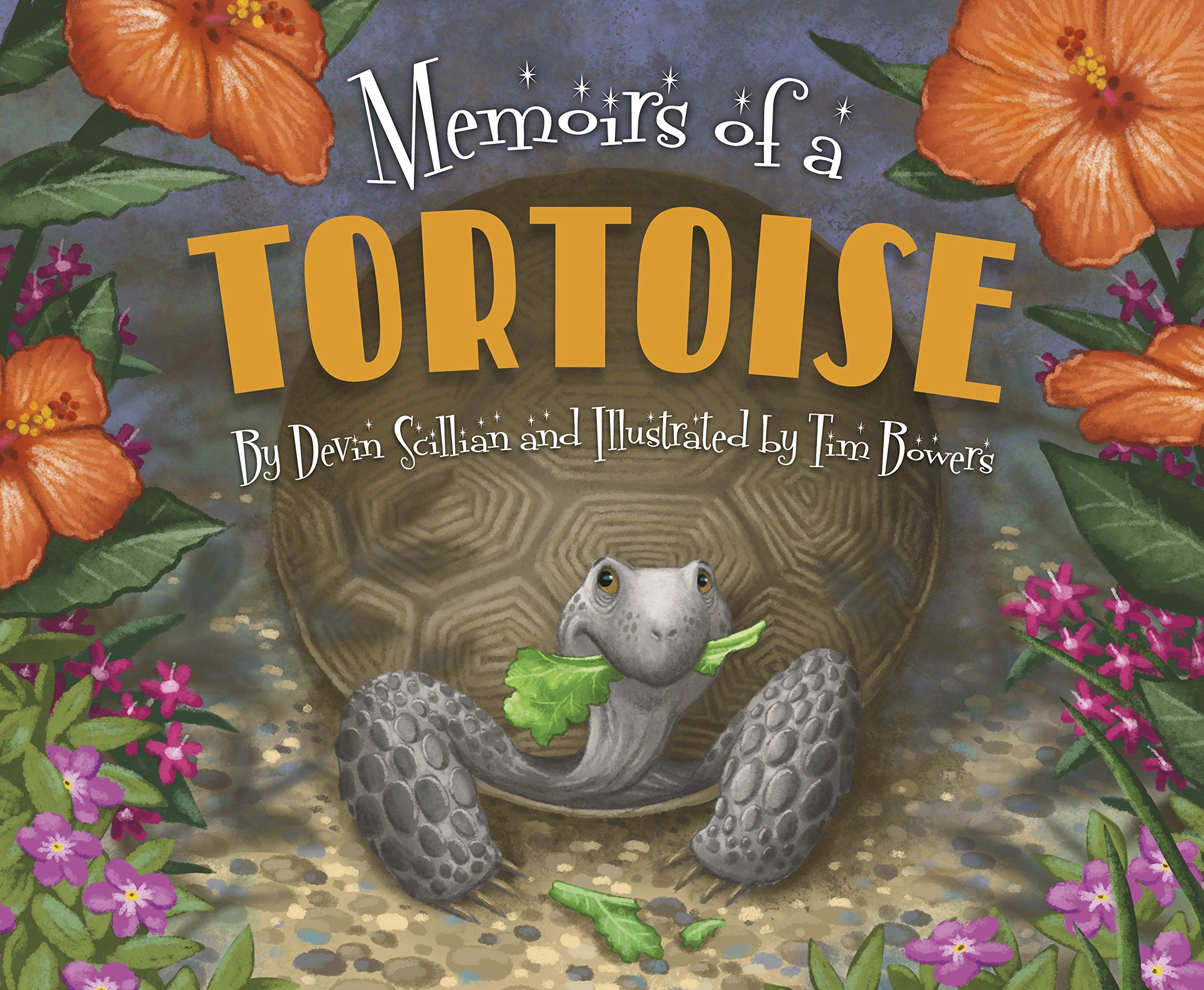 celebrate-picture-books-picture-book-review-memoirs-of-a-tortoise-cover