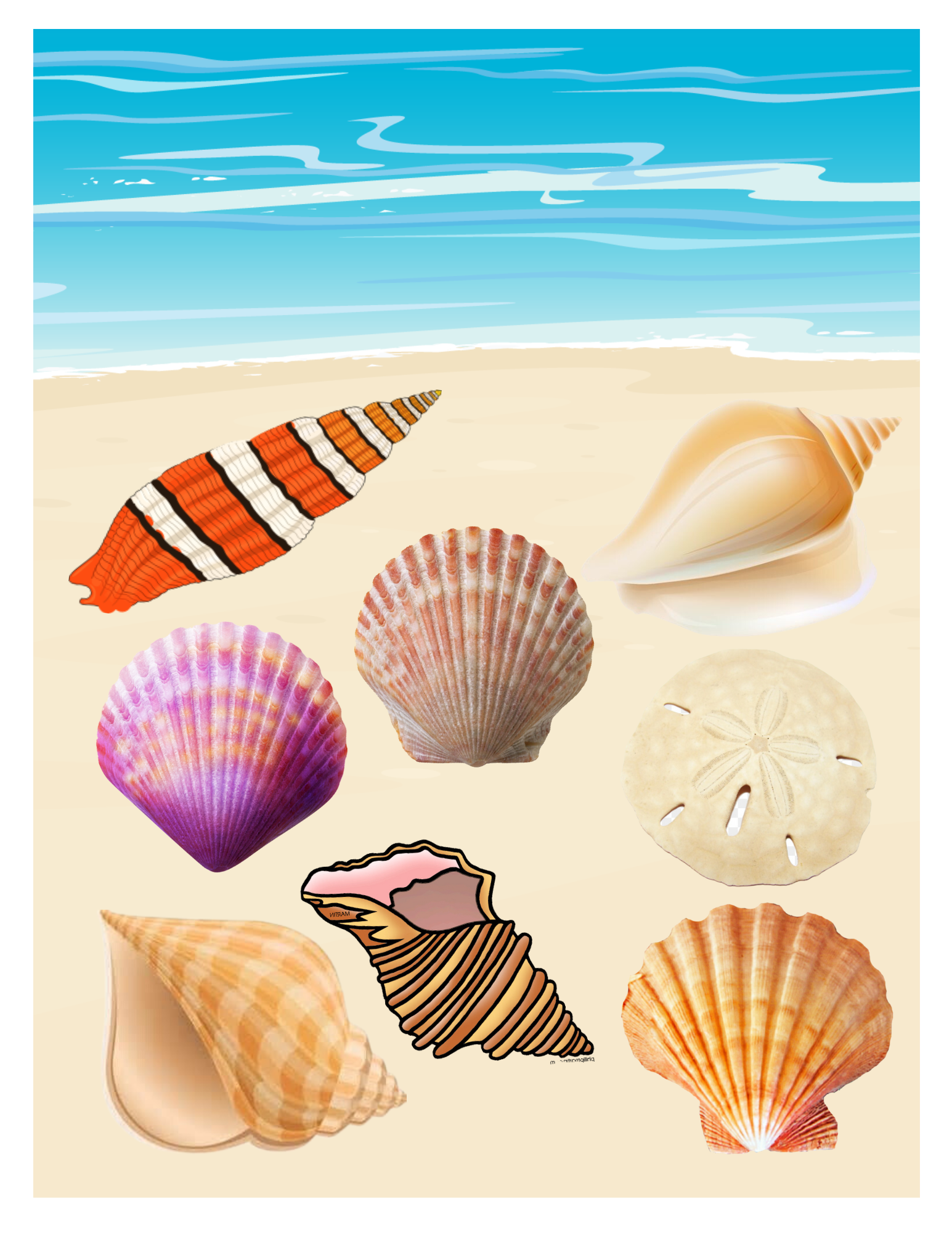 Celebrate Picture Books Seashell Beach Combing Game