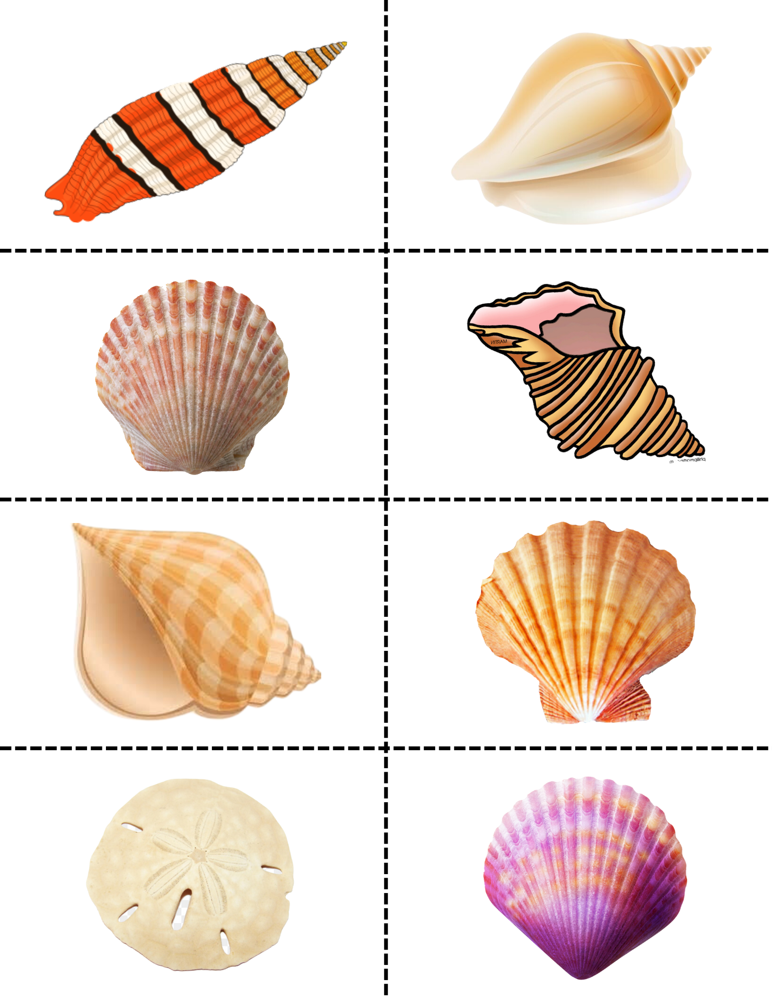 Celebrate Picture Books Seashell Matching Game Playing Cards