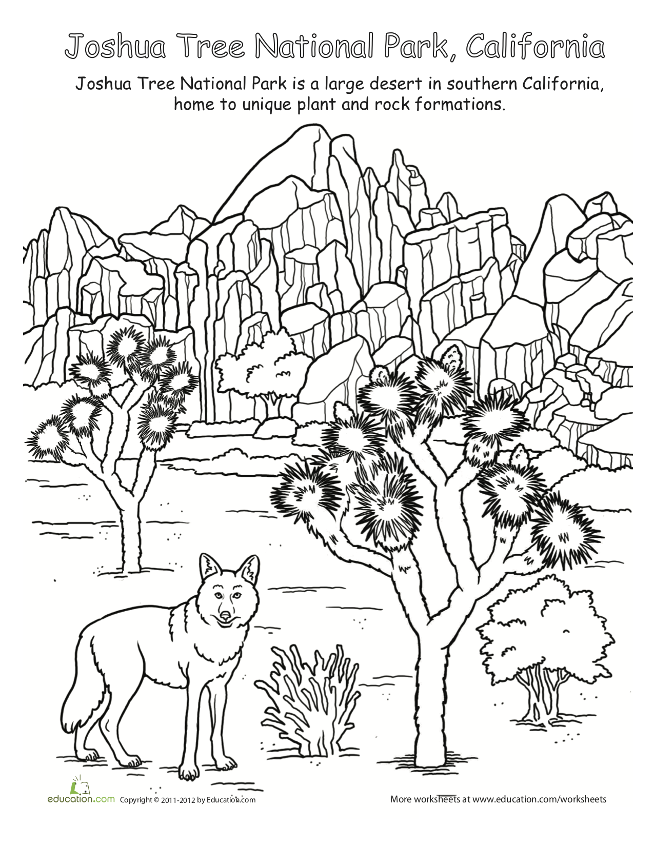 celebrate-picture-books-picure-book-review-joshua-tree-national-park-coloring-page